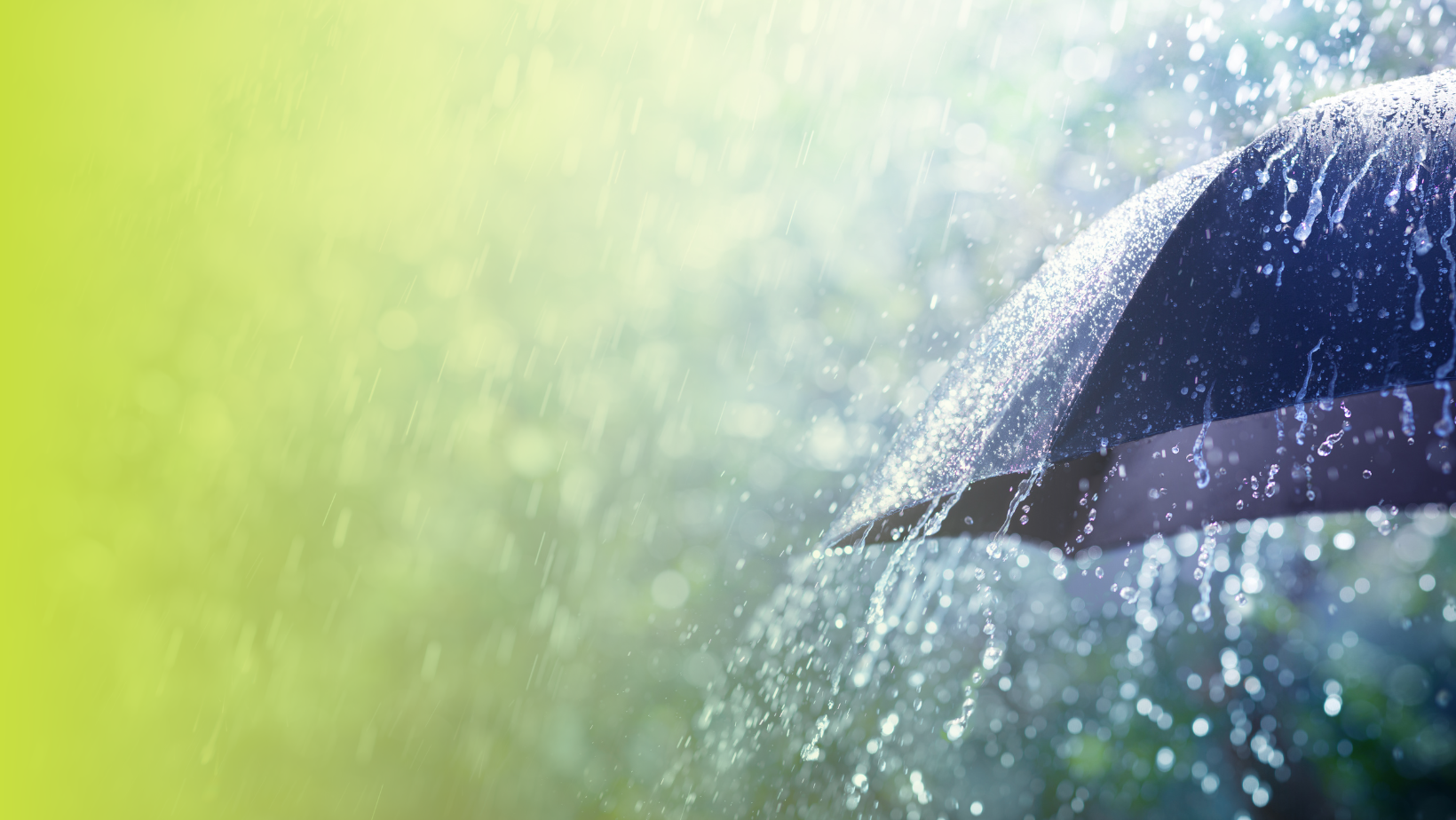 Eaux de pluie et eaux pluviales : les différences