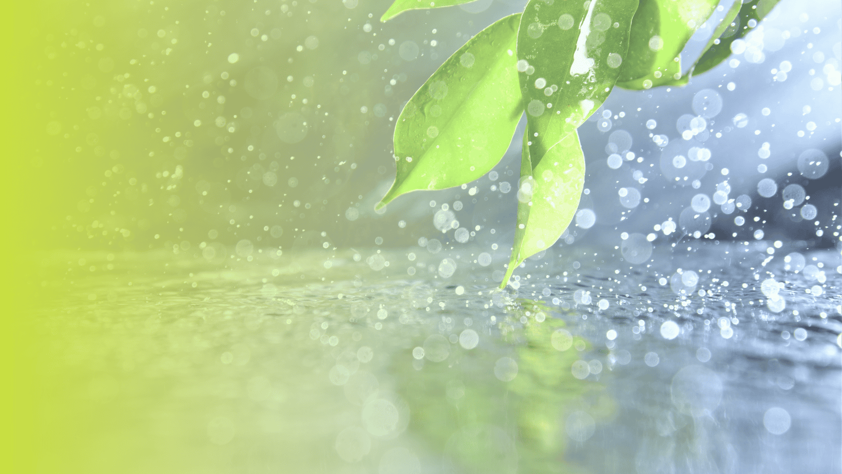 Les 10 idées reçues sur la récupération d’eau de pluie