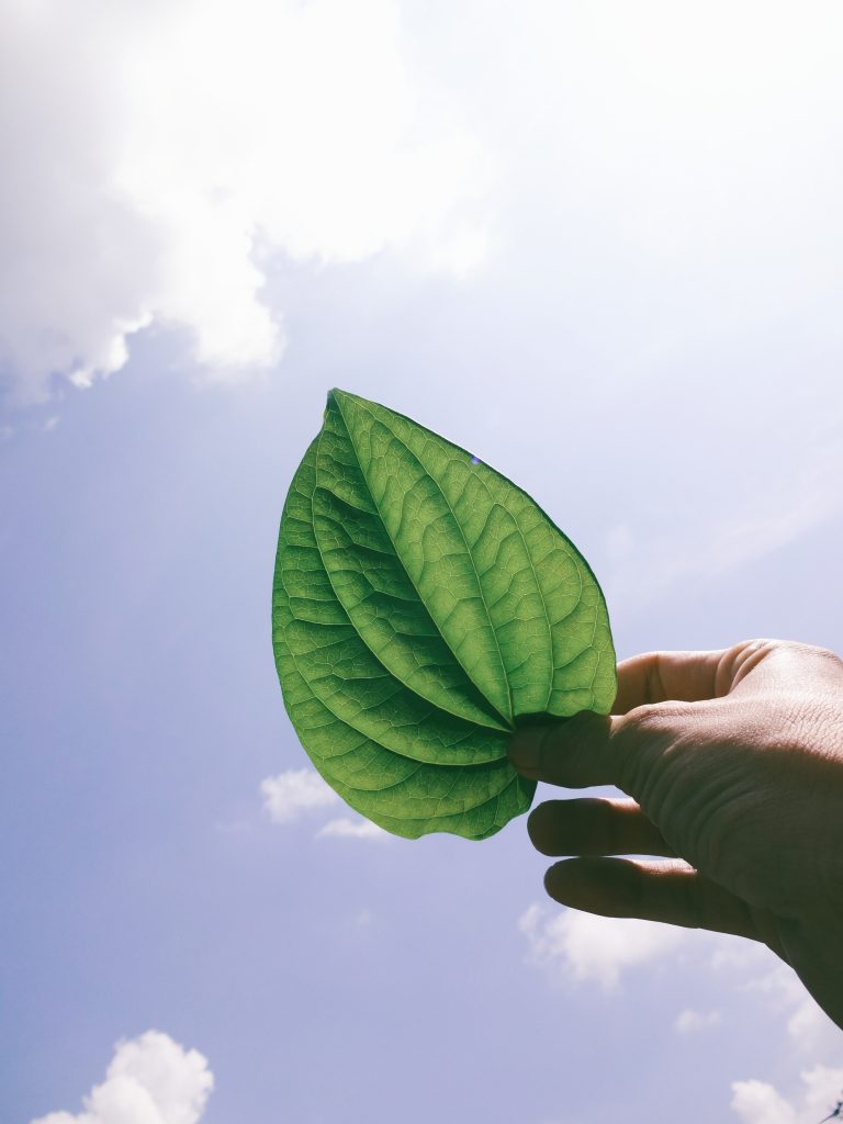 Culture d'entreprise : innovation durable
