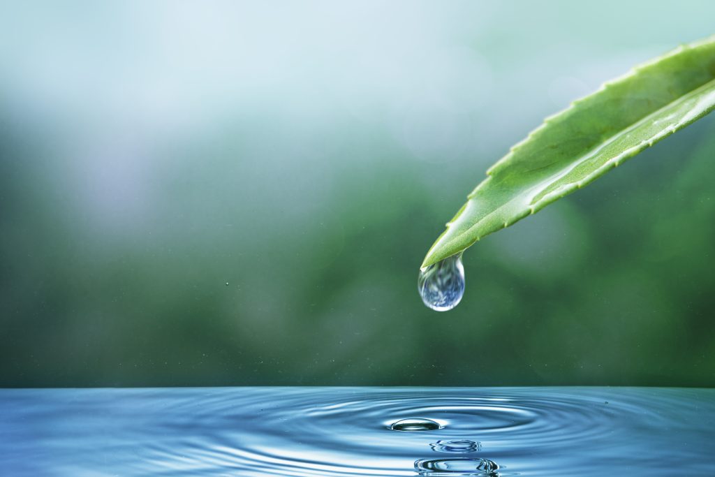 Goutte d'eau sur une feuille qui tombe dans une flaque
